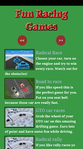 Fun Racing Games截图4