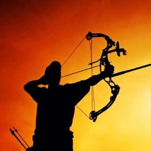 Archery Contest截图2