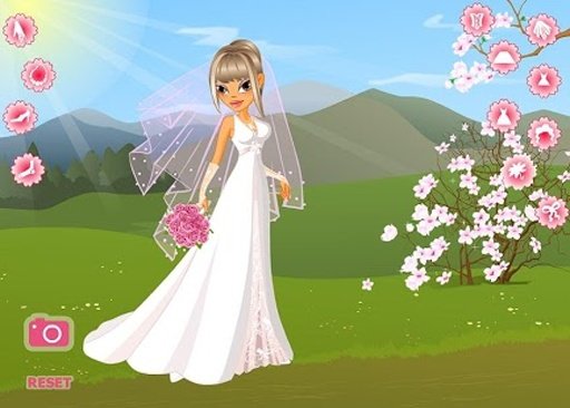 Wedding Season Dresses截图2