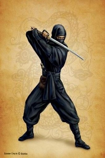 Ninja Dare Devil截图2