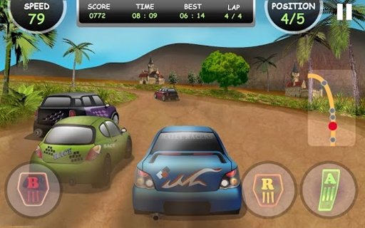 Rally Racing 3D截图1