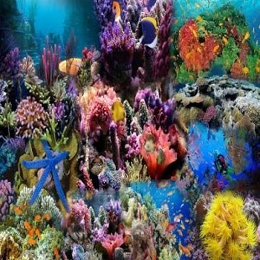 Undersea Treasure Find截图1