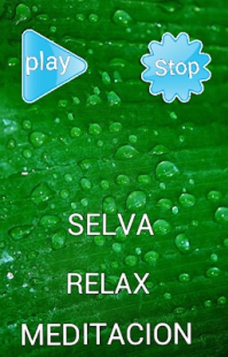 Sonidos relax meditaci&oacute;n selva截图2