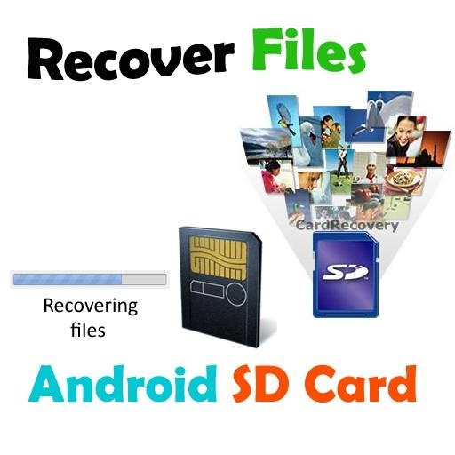 Recover Files SD Card截图2