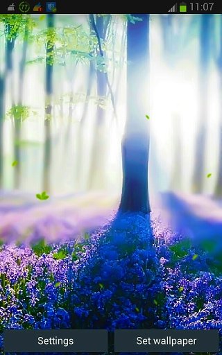 Forest Lavender HD LWP App截图3