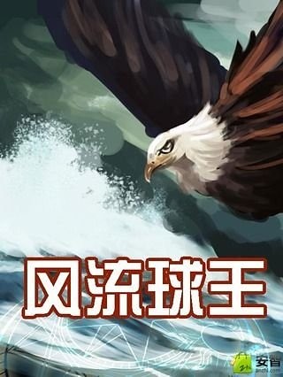 风流球王截图1