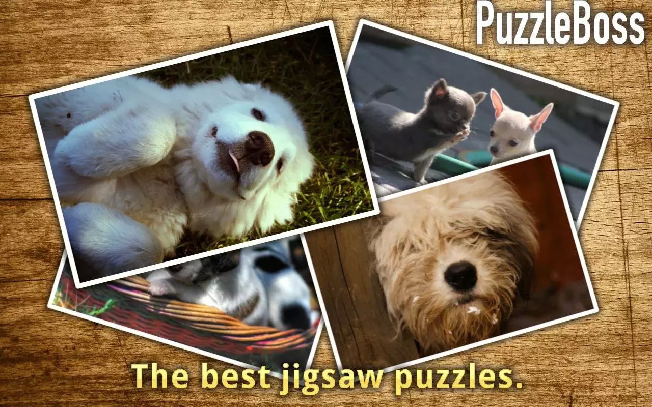 Puppy Jigsaw Puzzles FREE截图7