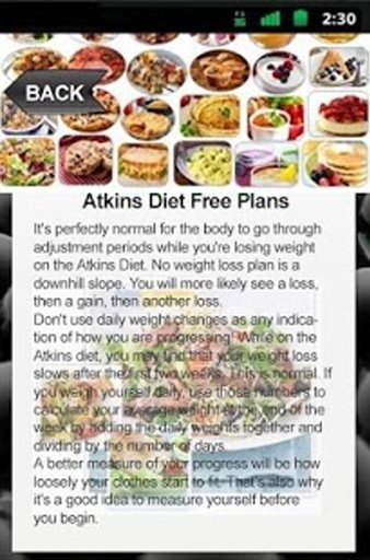 Atkins Diet Free Plans截图8