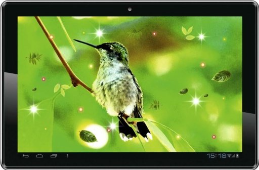 Humming Bird HQ live wallpaper截图2