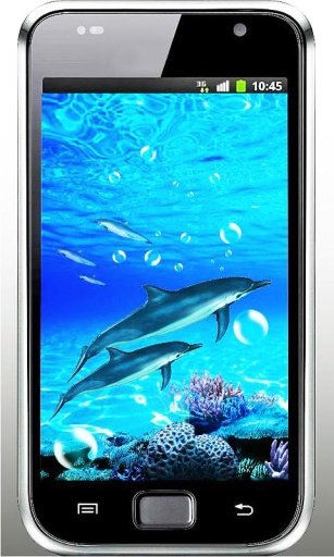 Dolphin Sounds Live Wallpaper截图1