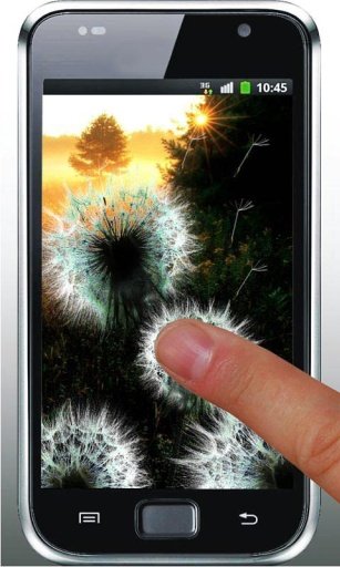 Sunrise Dandelion HD Wallpaper截图6