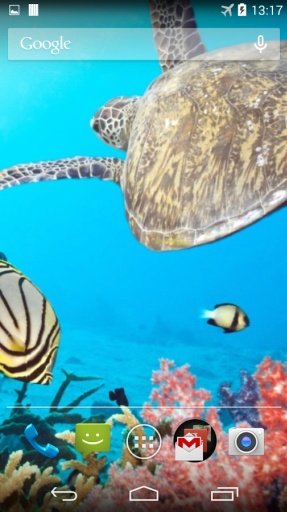 Sea Turtle Live Wallpaper截图6