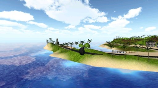 Island Flight Simulator截图1