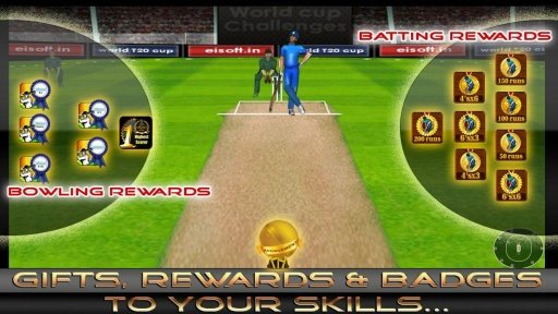 World T20 Cricket 2014 V2截图2