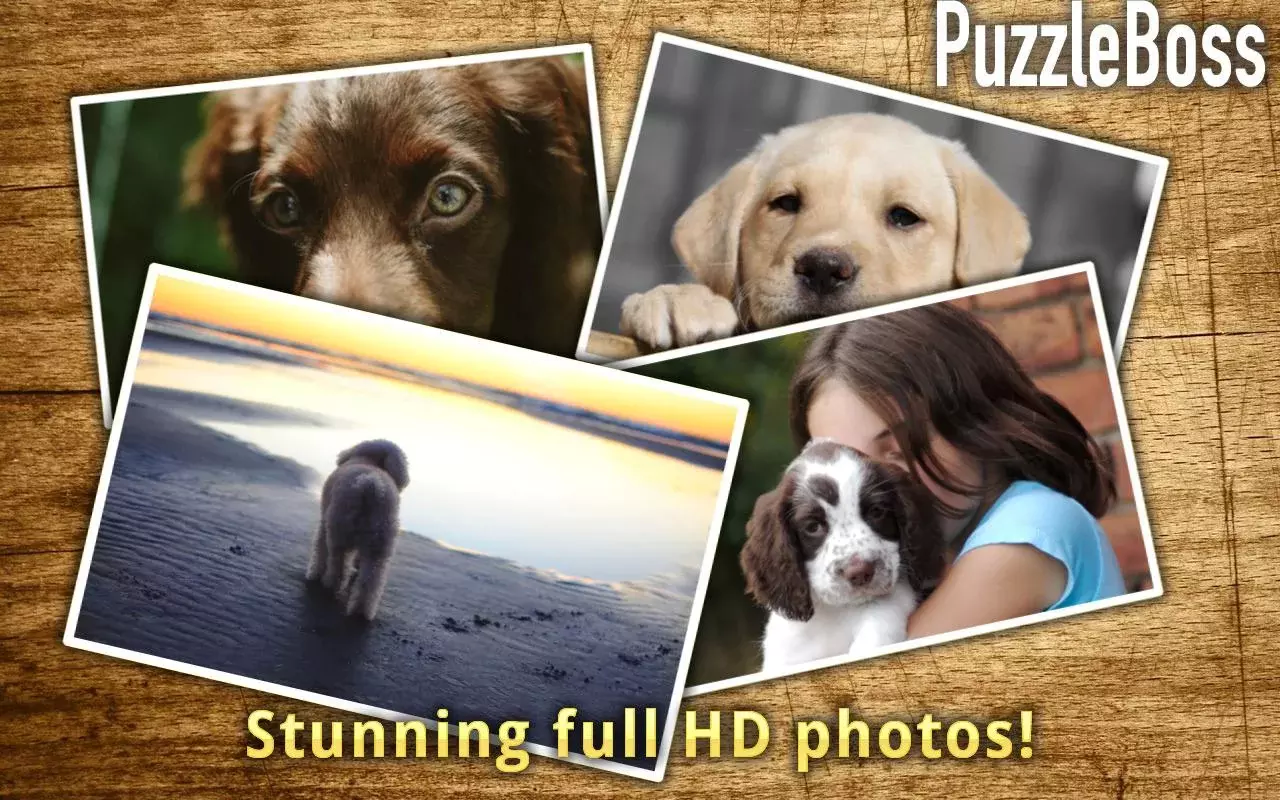 Puppy Jigsaw Puzzles FREE截图3