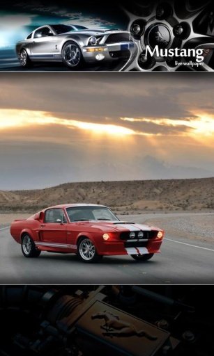 Mustang Models Live Wallpaper截图2