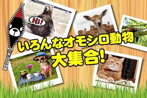 オモシロ动物间违い探し截图3