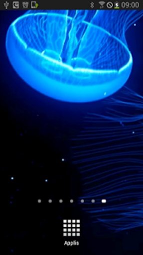 Night Light Jelly Fish LWP截图2