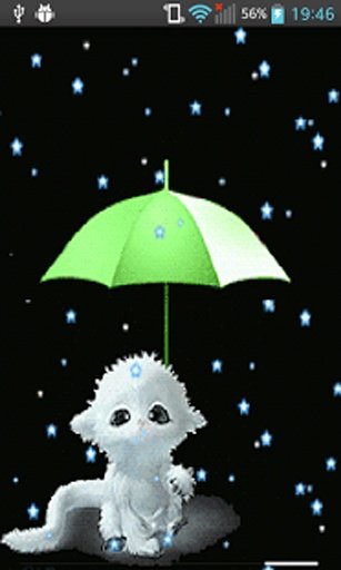 Rain Cute CAT Live Wallpaper截图4