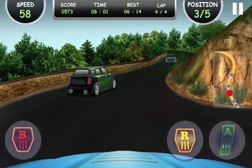 Rally Racing 3D截图5