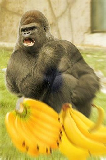 Banana Angry Kong截图2