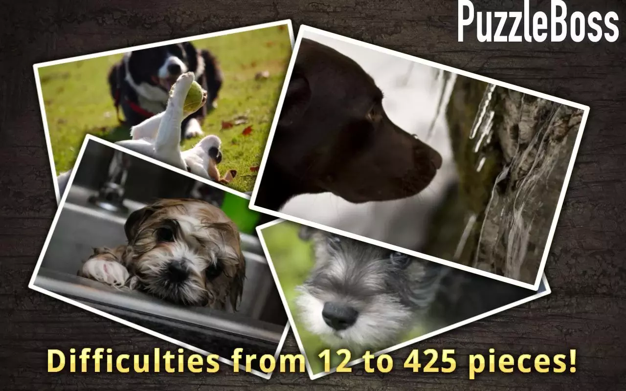 Puppy Jigsaw Puzzles FREE截图2