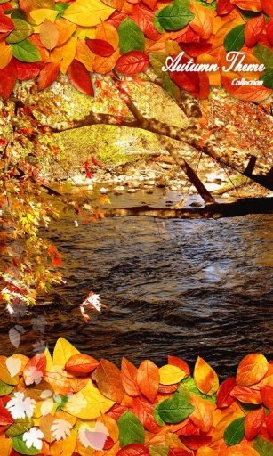 Autumn Leaves Dance Wallpaper截图4