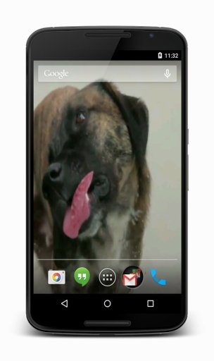 Dog Licks Screen Live Wallpaper截图2