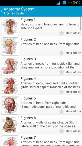 Human Anatomy System截图4