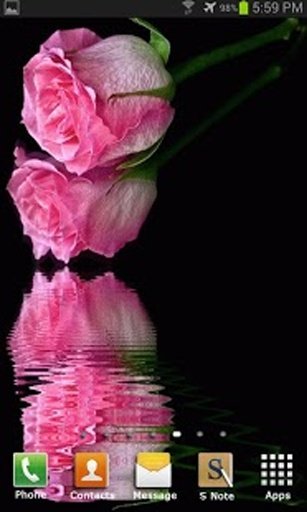 Pink Roses Live Wallpaper截图1