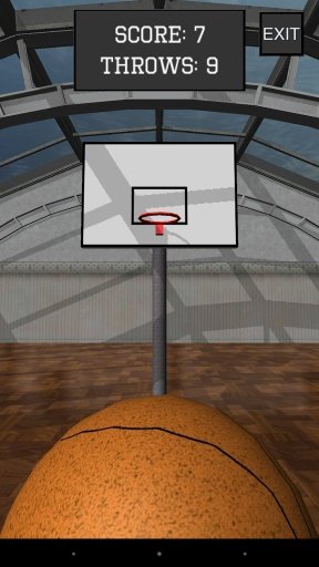 Basket Ball Shooter Pro截图1