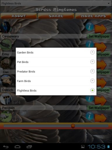 Bird Ringtones截图6