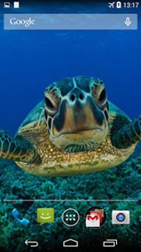 Sea Turtle Live Wallpaper截图4