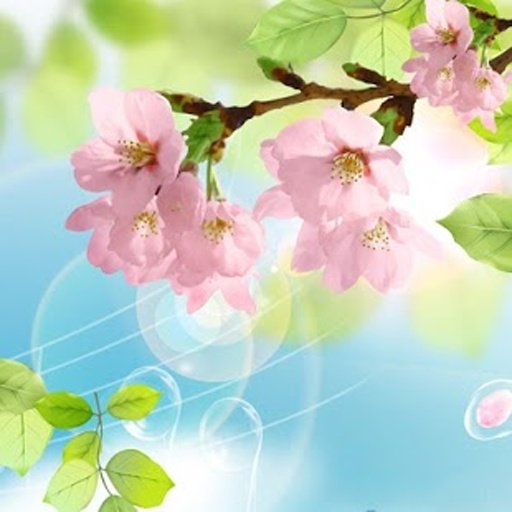 3D Sakura Magic Live Wallpaper截图9