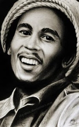 Bob Marley Puzzle Game HD截图11