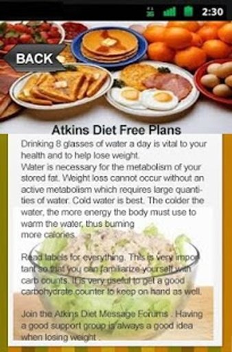 Atkins Diet Free Plans截图7