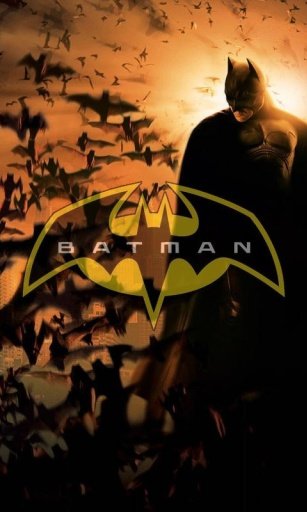 Batman Games Puzzle截图4