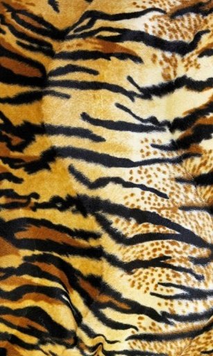 tiger print截图1