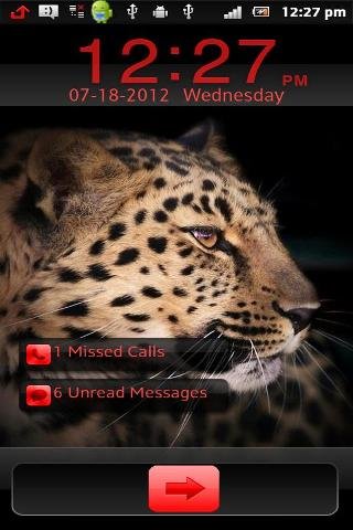 Leopard HD Go Locker截图1