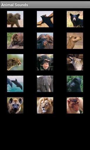 Free Animal Sounds截图1