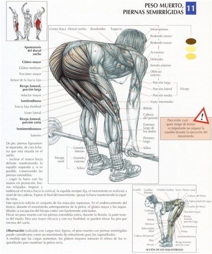 EJERCICIOS PIERNAS Y GLUTEOS截图2