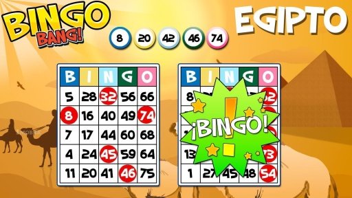 Bingo Bang! - Bingo en Espa&ntilde;ol截图4