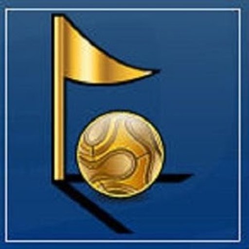 Trucos Top Eleven Completos截图3