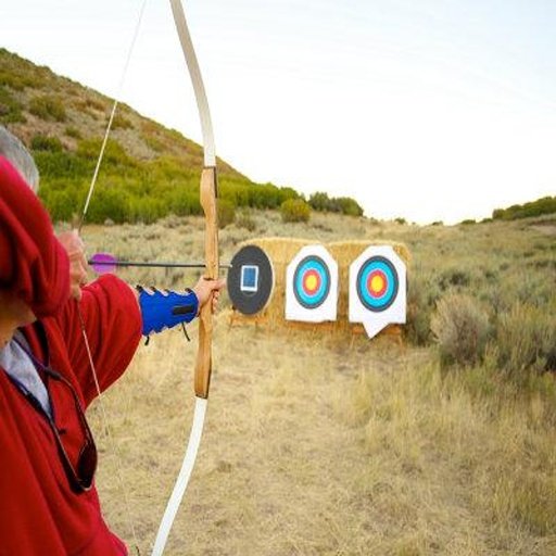 Archery Game 3D截图4