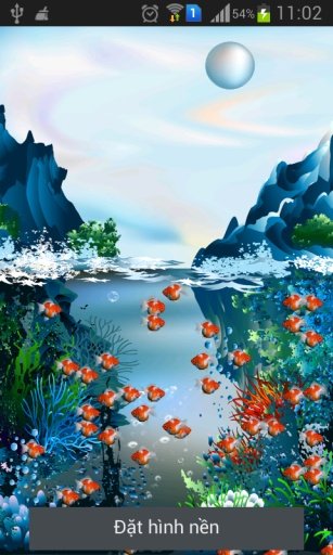 Real Koi Free Live Wallpape截图1