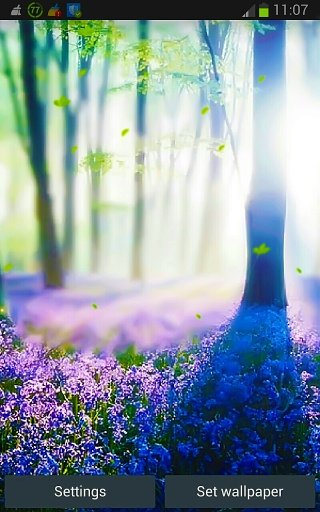 Forest Lavender HD LWP App截图2