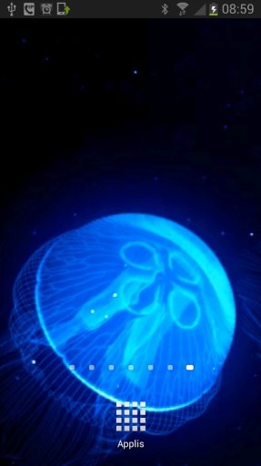 Night Light Jelly Fish LWP截图4