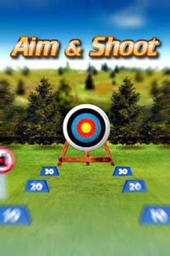 Archery Games &amp; Tournaments截图3