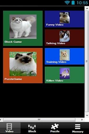 Where's My Ragdoll Cat截图3