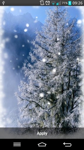 Amazing Winter Live wallpaper截图1